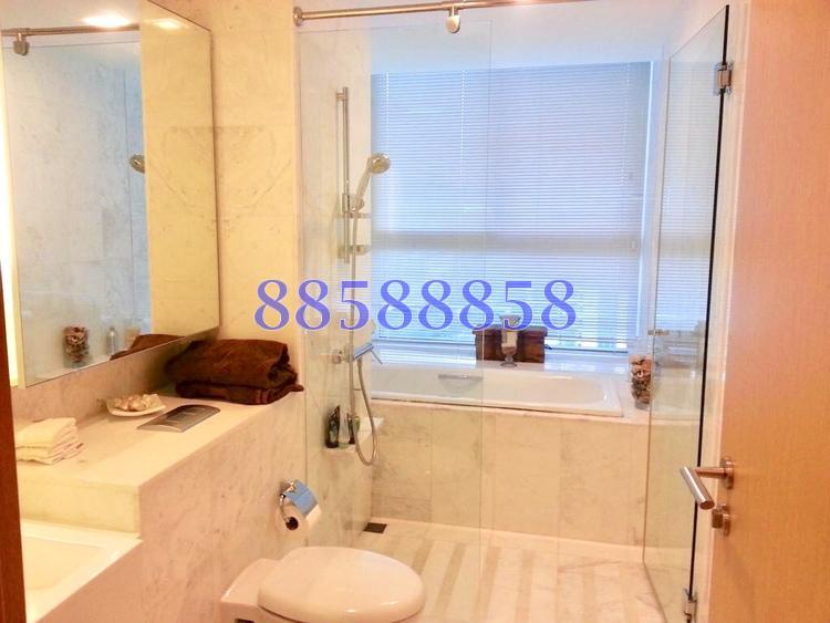 Tribeca (D9), Condominium #165310632